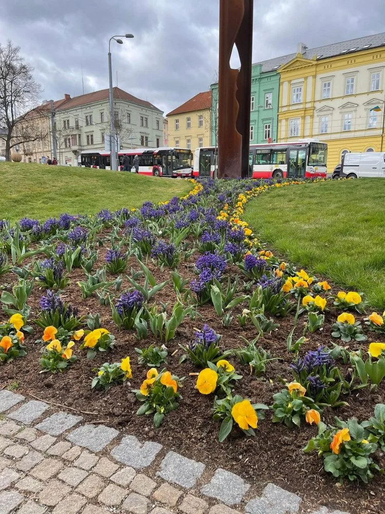 Západočeská metropole s příchodem jara rozkvetla tisícovkami květů