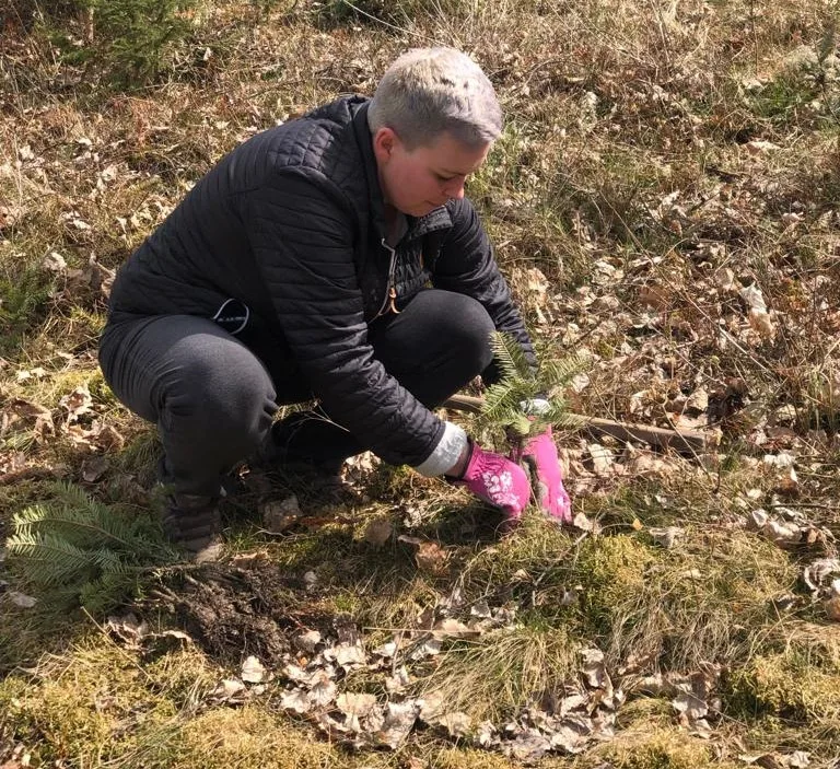 Pět set nových listnatých a jehličnatých stromků omladí zdecimovaný park v Konstantinových Lázních