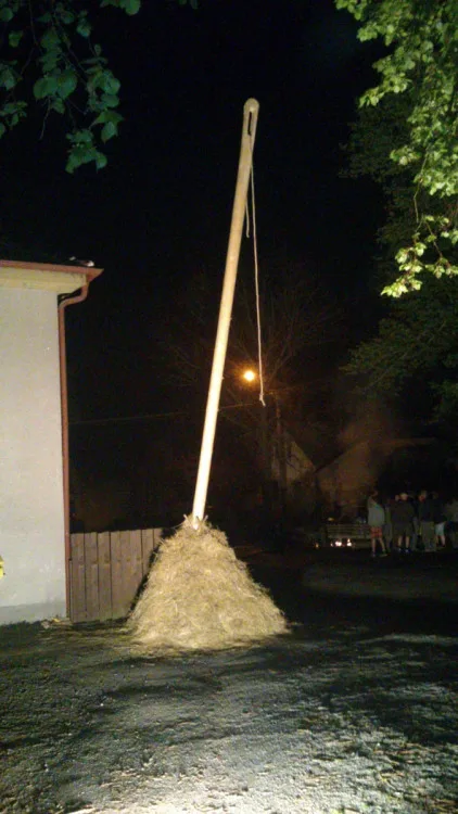 Jehla v kupce sena z roku 2014
