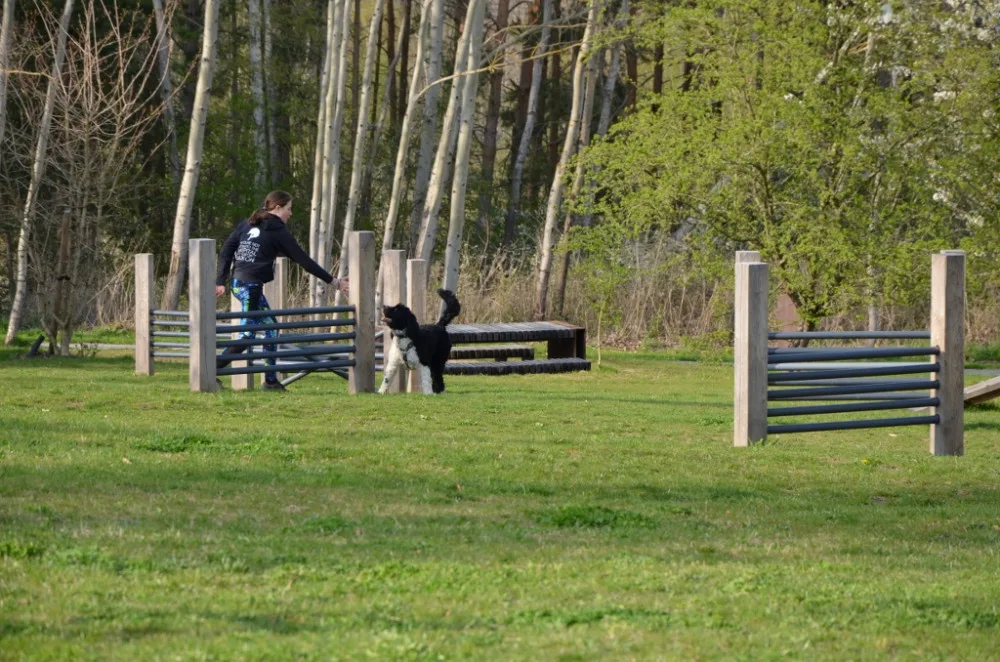 Obávané nocležiště bezdomovců plné černých skládek se proměnilo v nový park za 18 milionů korun