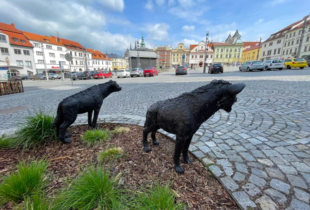 Velmi populární jsou v Klatovech sochy dvou hyen