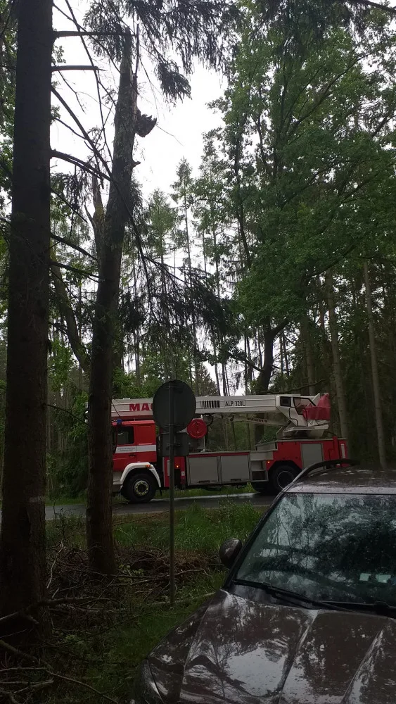 Samice výra se při lovu zaklínila v kmeni stromu, hasiči bojovali také o život mláďat puštíka
