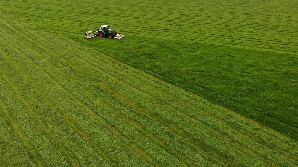Každý rok zemře při sečích na loukách až 60 tisíc srnčat, zachraňují je dobrovolníci i dronaři s termokamerou