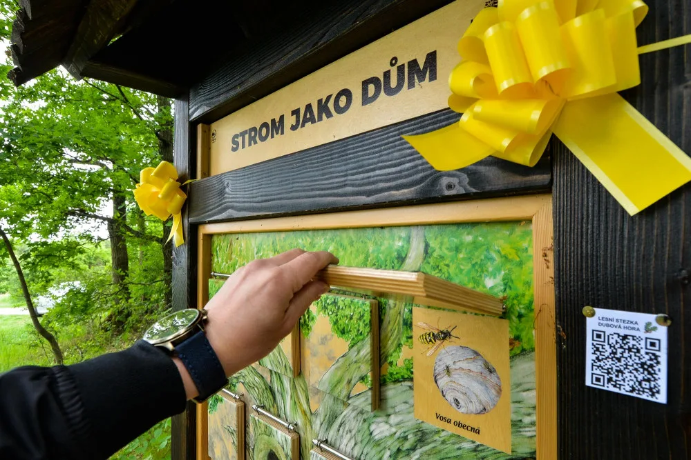 Na území Plzně vznikla už třináctá naučná stezka, nachází se na Dubové hoře v Liticích a je ideální pro děti