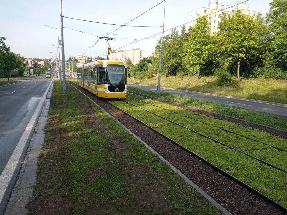 Zrekonstruovaná tramvajová trať zezelenala, osázené rozchodníky snižují prašnost a hluk
