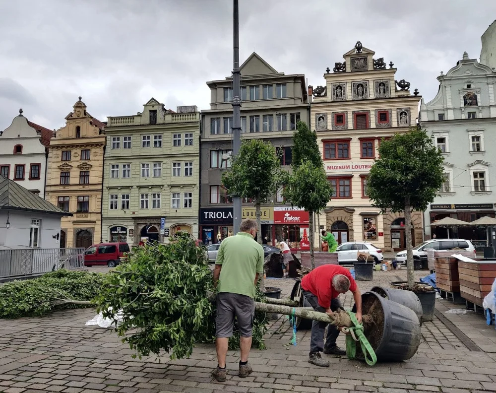 Na snímku nejsou zachycení vandalové, kteří v březnu květináče poškodili.