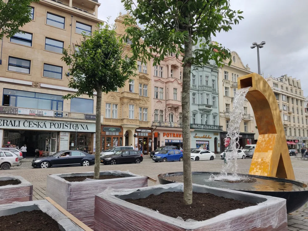 Plzeňské náměstí zdobí 12 habrů v obřích květináčích, za trest je pomáhala sázet i dvojice vandalů