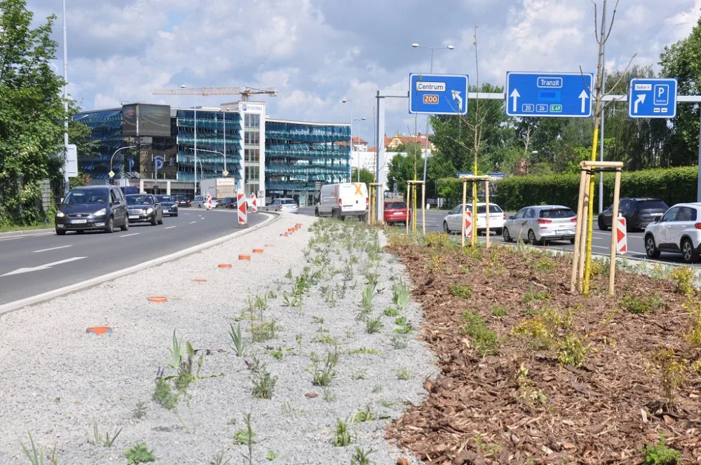 Po úpravách za 3, 3 milionu už se začíná zelenat středový pás podél nejfrekventovanější komunikace v Plzni