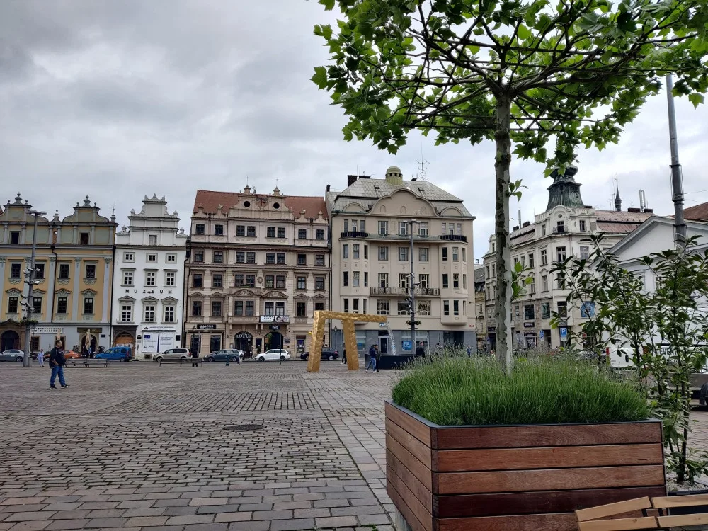 Většina Plzeňanů si přeje, aby stromy na náměstí zůstaly natrvalo, radnice se tím bude zabývat