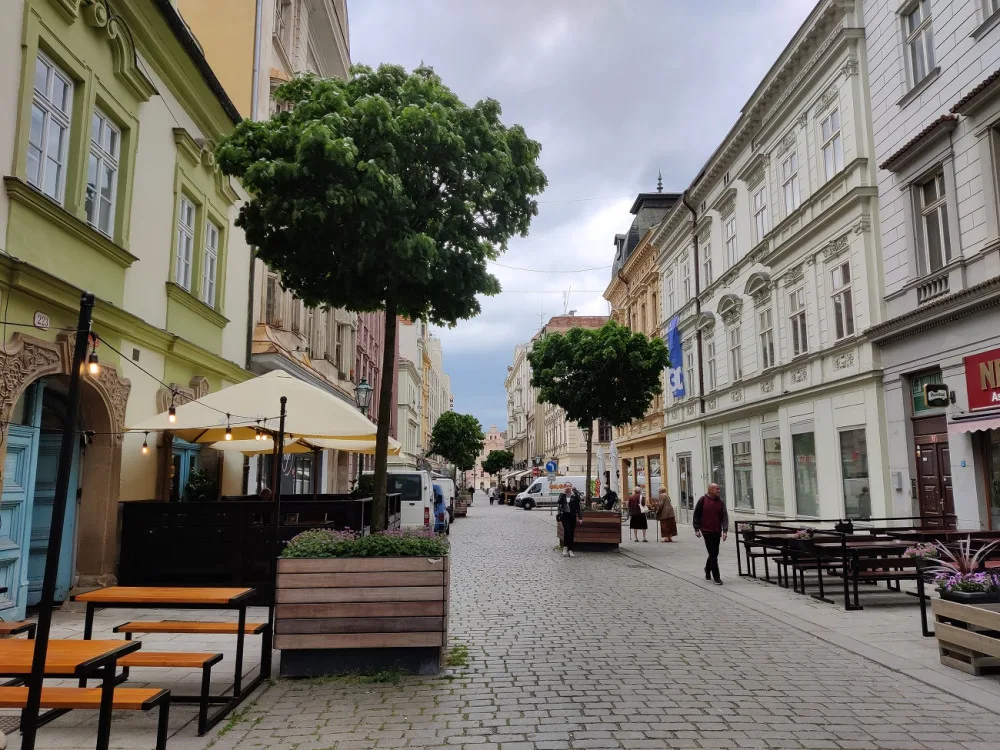 Stromy v květináčích potkáte v plzeňských ulicích už zcela běžně