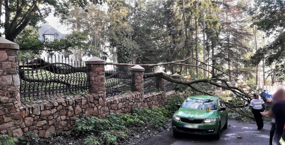 Ulomená obří větev zasáhla projíždějící automobil a zranila jeho řidičku