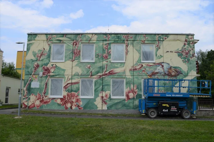 Co si myslí zastupitelé Plzně o streetartové výzdobě nevzhledných městských ploch díky festivalu Wallz?