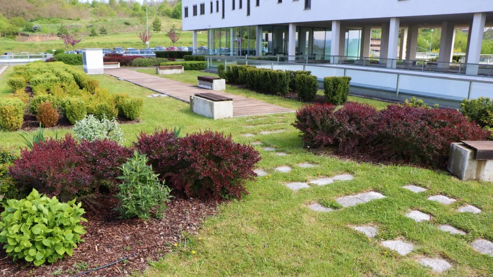 V roce 2019 bodovala v soutěži o nejlepší zelenou střechu Fakultní nemocnice Plzeň, získala cenu veřejnosti, foto: FN Plzeň