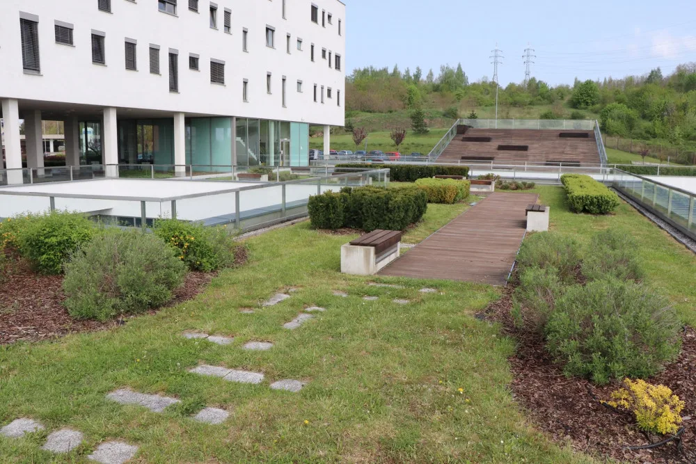 V roce 2019 bodovala v soutěži o nejlepší zelenou střechu Fakultní nemocnice Plzeň, získala cenu veřejnosti, foto: FN Plzeň