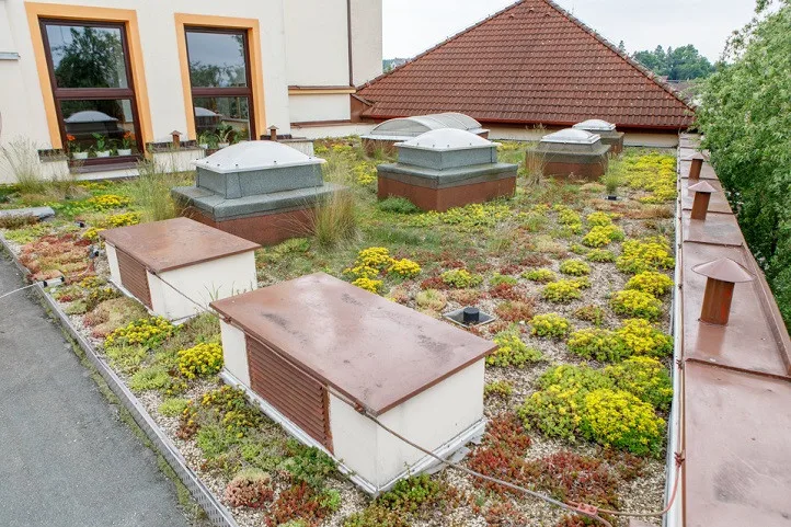 Zelené střechy jsou čím dál populárnější, díky grantové výzvě na ně mohou získat dotace také školy a školky