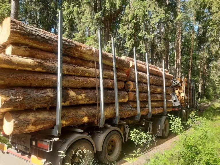 Dvojice cyklistů na Šumavě surově napadla řidiče kamionu se dřevem. Vadilo jim, že mu musí uhnout z cesty