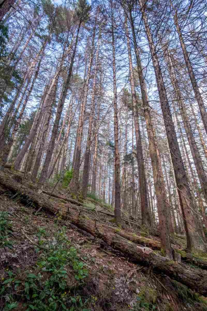 foto: Štěpán Rosenkranz