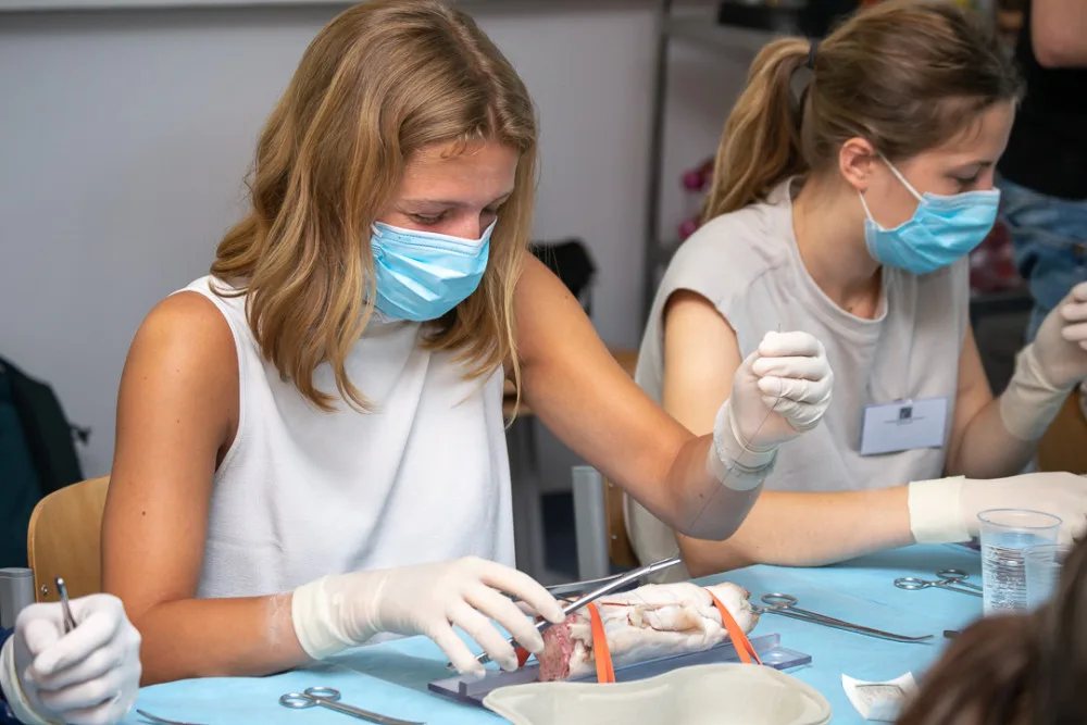 Studenti medicíny mají jedinečnou možnost vyzkoušet si své dovednosti v praxi, operují prasata domácí