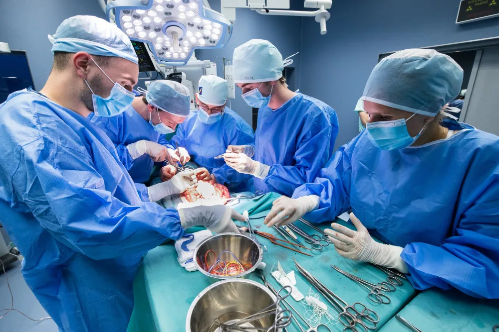 Studenti medicíny mají jedinečnou možnost vyzkoušet si své dovednosti v praxi, operují prasata domácí