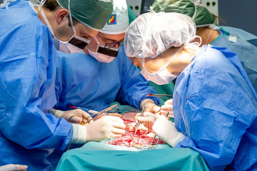 Studenti medicíny mají jedinečnou možnost vyzkoušet si své dovednosti v praxi, operují prasata domácí