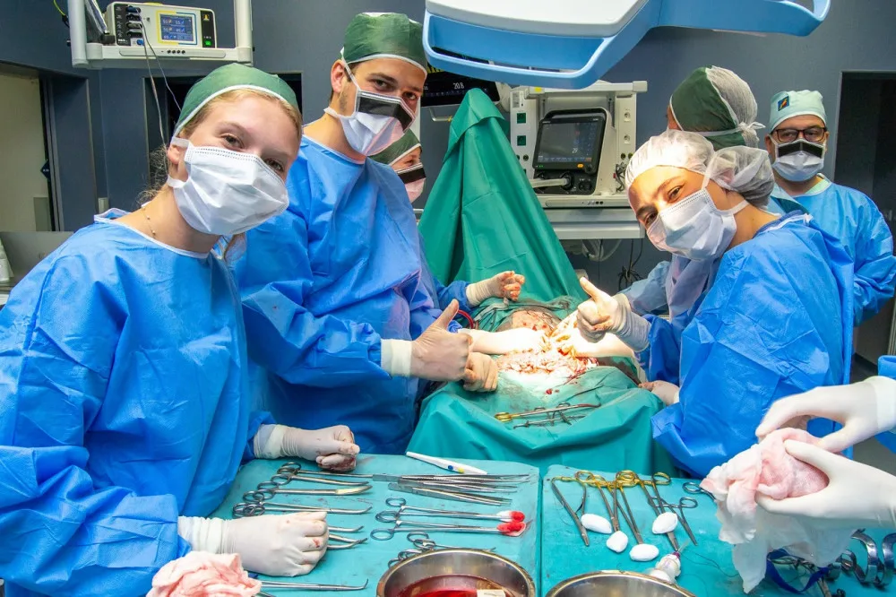 Studenti medicíny mají jedinečnou možnost vyzkoušet si své dovednosti v praxi, operují prasata domácí