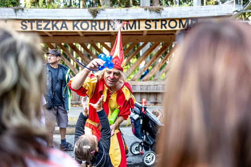 Stezka korunami stromů Lipno slaví první kulatiny