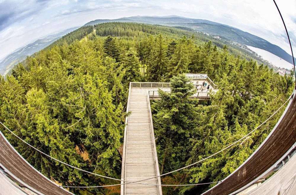 Stezka korunami stromů Lipno slaví první kulatiny