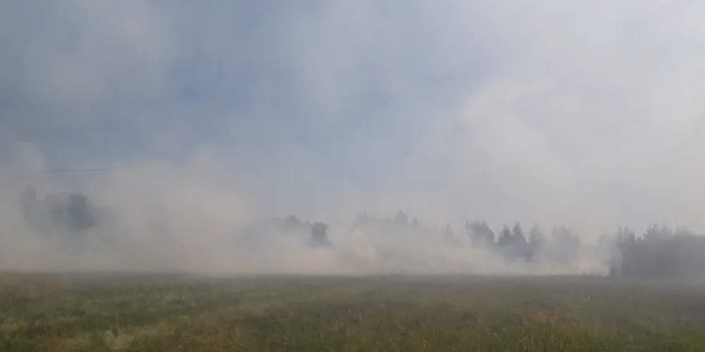 Požár louky u obce Staré Sedliště na Tachovsku