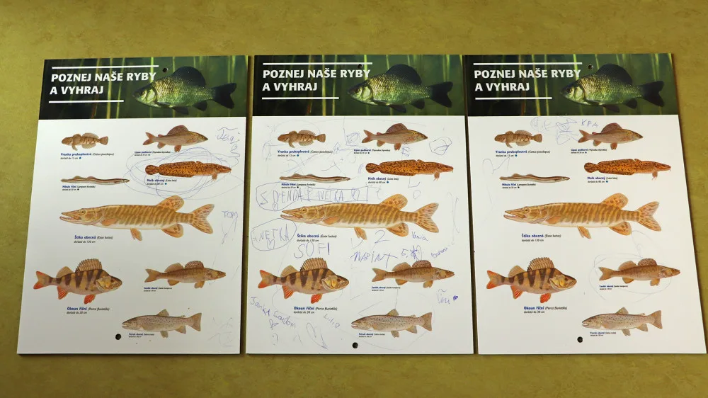 Zoo se potýká s nevychovanými návštěvníky, čmárají po cedulích i vytrhávají květiny