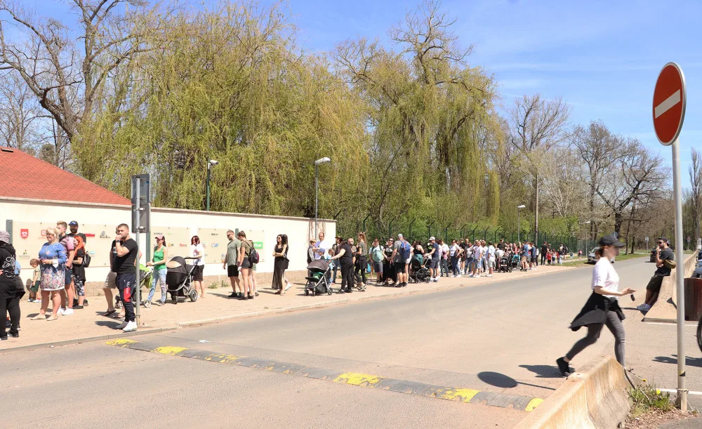 Zoo patří mezi nejnavštěvovanější cíle v Plzni