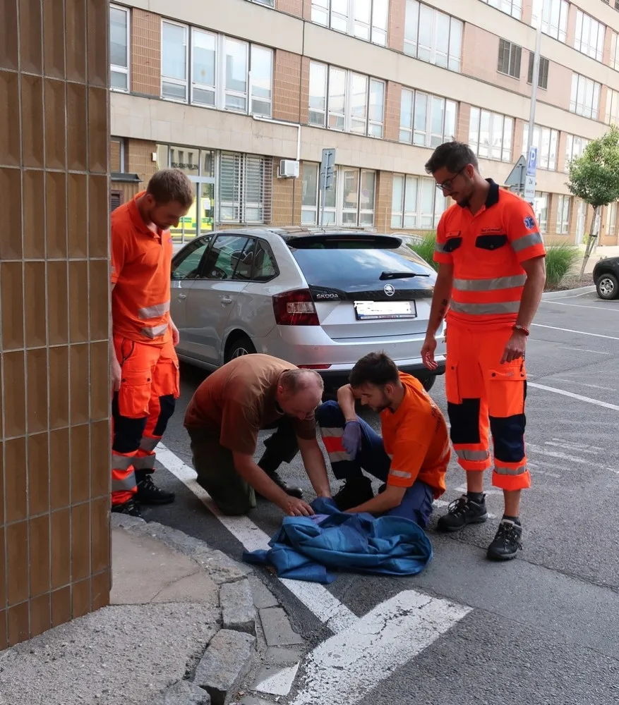 Když je potřeba, zachrání zdravotníci i životy dvou mláďat poštolky, která vypadla ze stejného hnízda