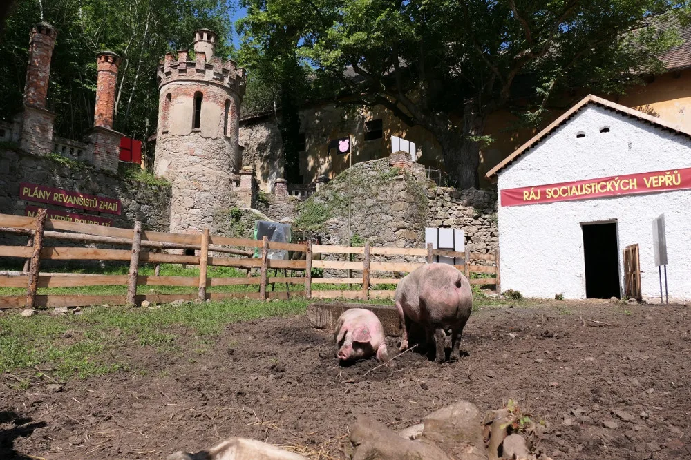 Zelenou Horu proslavili nejvíce Černí baroni, nyní chce kraj zámek opravit a zadá studii na jeho obnovu
