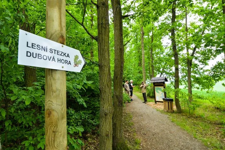 Rekreační zóny v Plzni se dočkají novinek, přibude ovocný sad, tůně i nové cesty