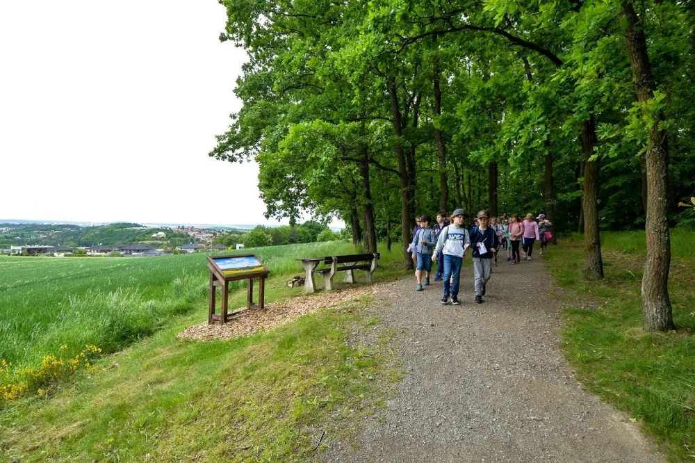 Rekreační zóny v Plzni se dočkají novinek, přibude ovocný sad, tůně i nové cesty