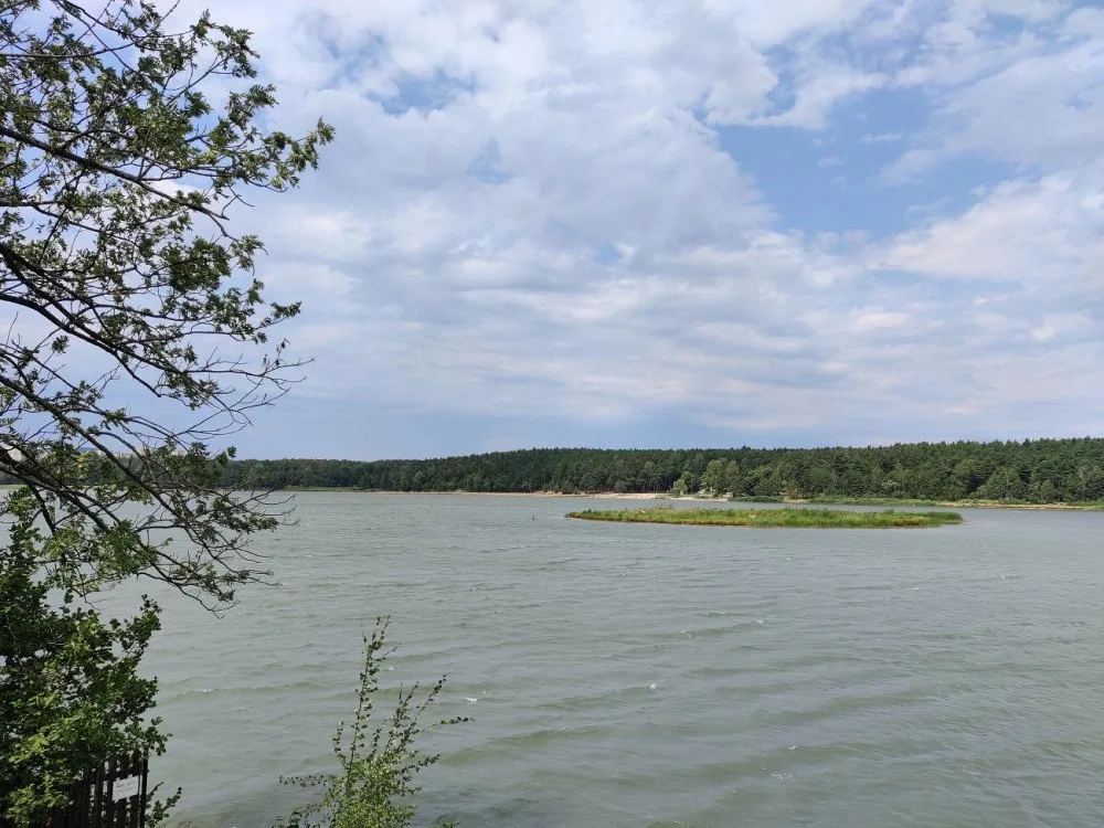 Rekreační zóny v Plzni se dočkají novinek, přibude ovocný sad, tůně i nové cesty