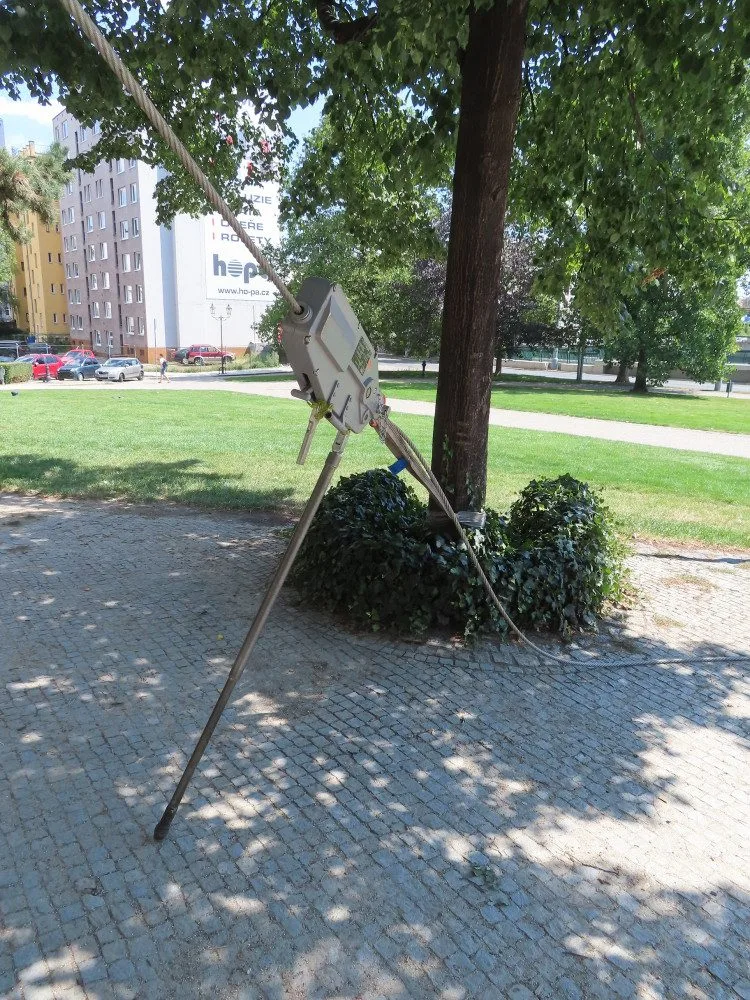 Při zátěžových testech se využíval i kmen vedle rostoucího stromu