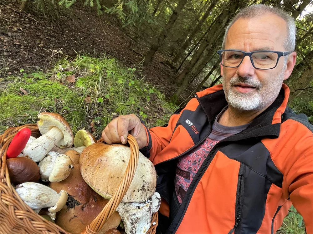 Za necelou hodinku se podařilo nasbírat plný koš hřibovitých hub