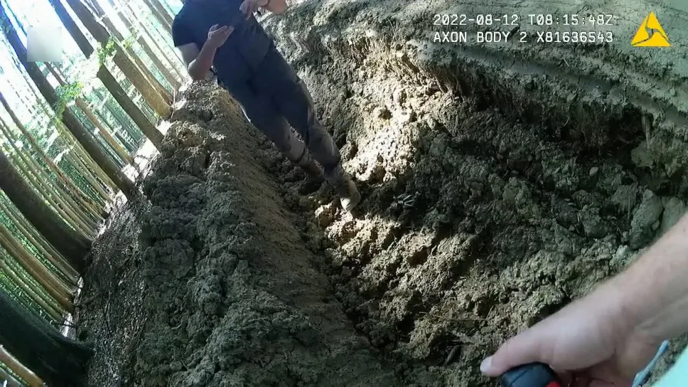 Nejhorší devastace lesů za poslední roky, hodnotí spolky hospodaření městské firmy v šumavském národním parku