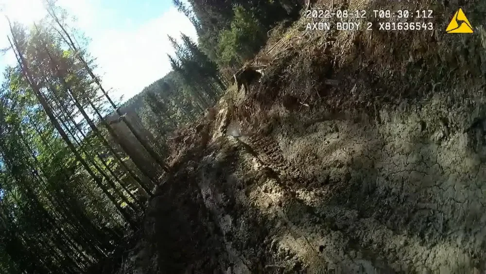 Nejhorší devastace lesů za poslední roky, hodnotí spolky hospodaření městské firmy v šumavském národním parku