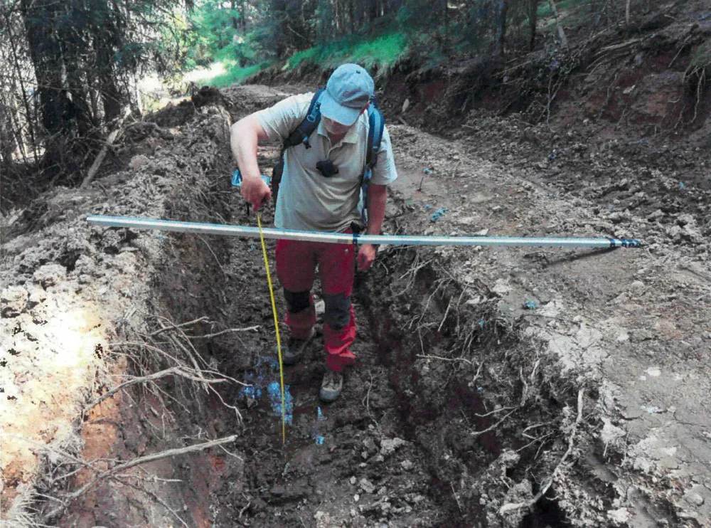 Nejhorší devastace lesů za poslední roky, hodnotí spolky hospodaření městské firmy v šumavském národním parku