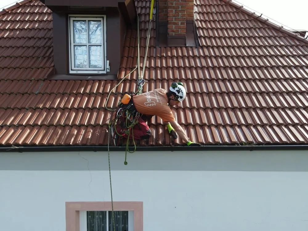 Čápi odletěli do teplých krajin, ve výškách začíná sezóna náročné údržby a čištění jejich opuštěných hnízd