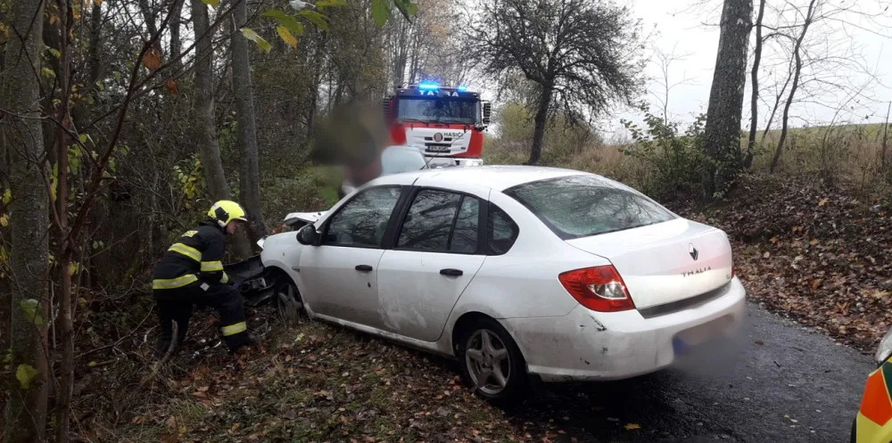Řidička zemřela po nárazu do stromu, nejspíš za volantem těsně před tragédií zkolabovala