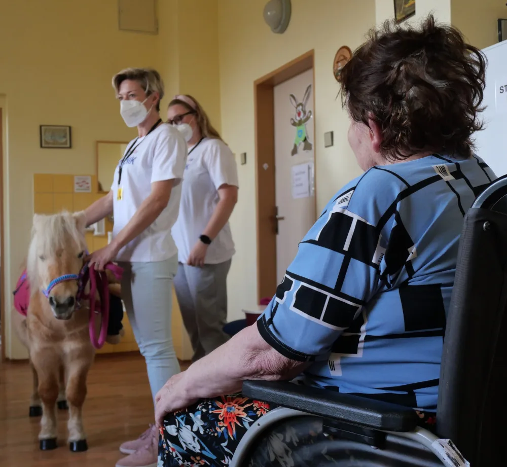 Radost pacientům v nemocnici rozdával poník Smajlík, potěšil zejména starší pacienty