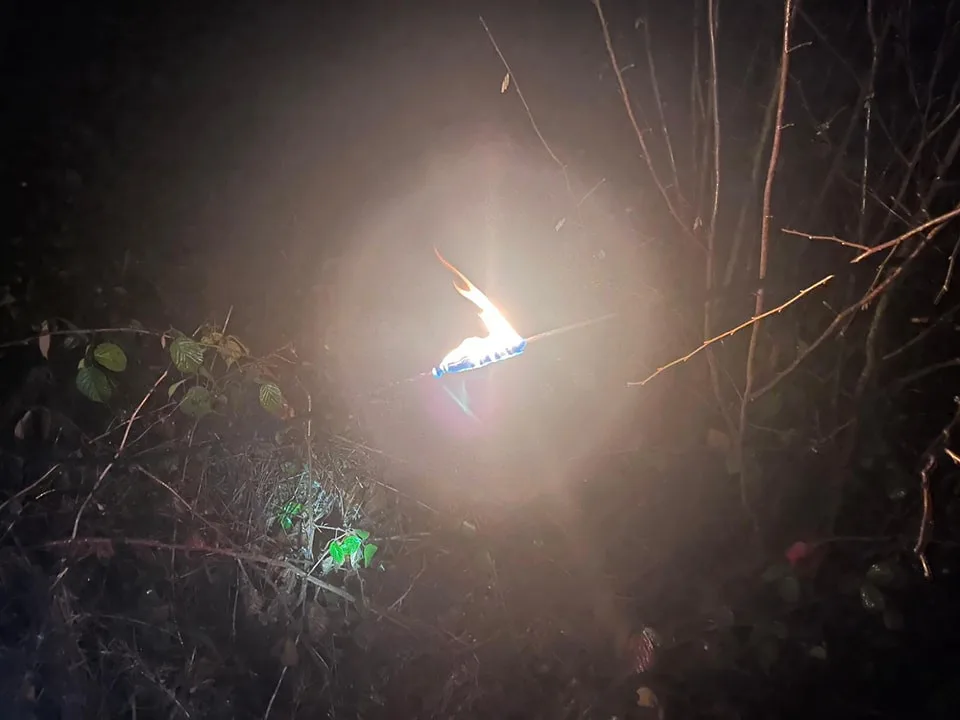 Spadlý strom zpřetrhal dráty elektrického vedení a odřízl část obce od proudu. Viníkem je bobr