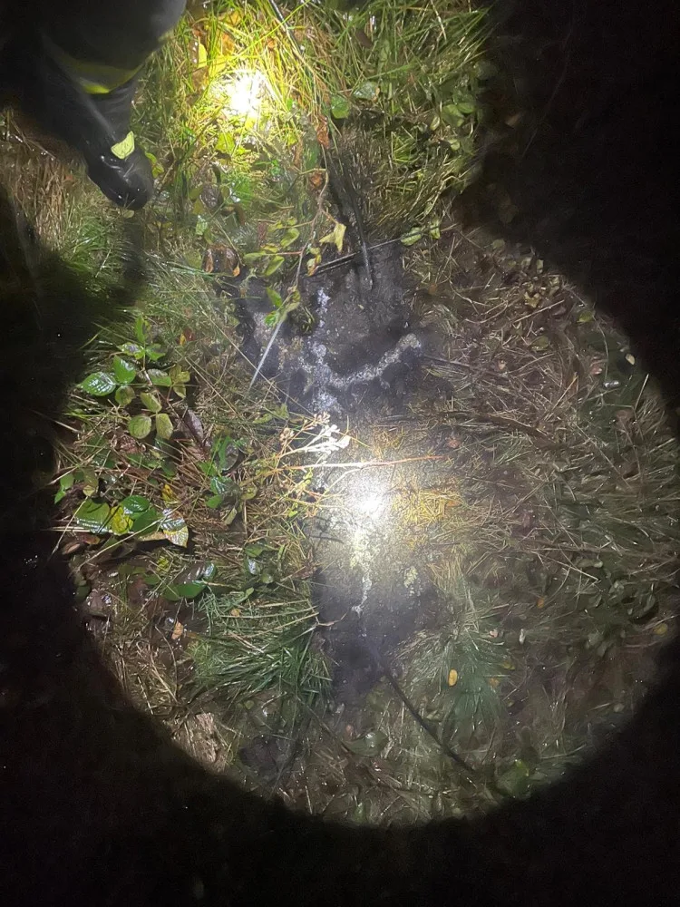 Spadlý strom zpřetrhal dráty elektrického vedení a odřízl část obce od proudu. Viníkem je bobr