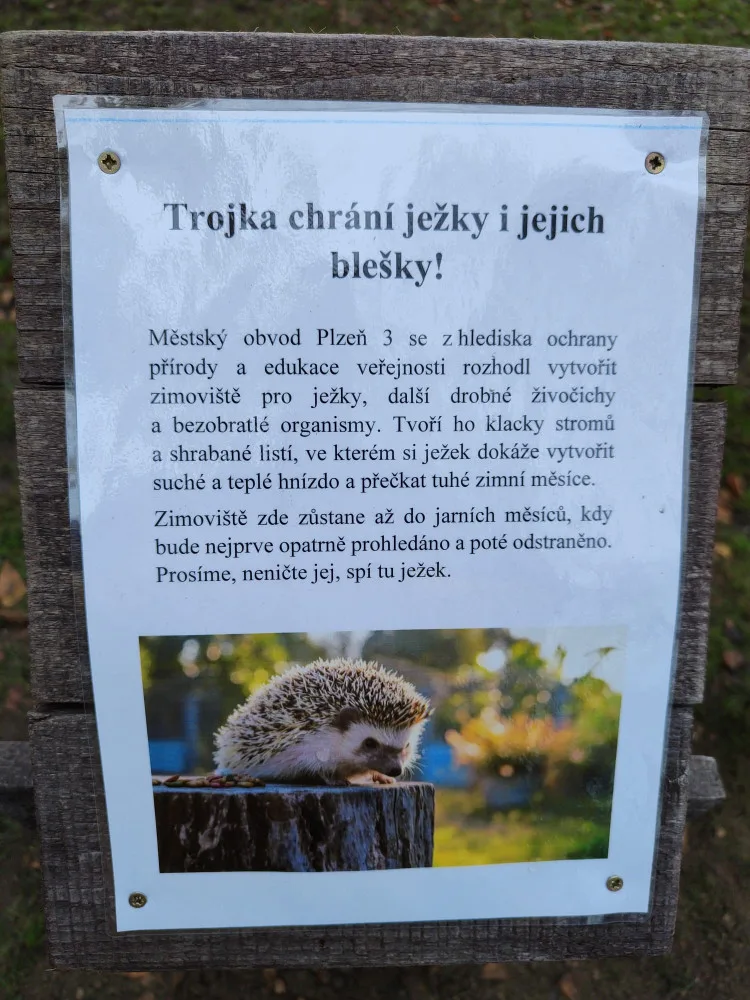 Každý čtvrtý ježek nepřežije zimní období, lidé jim proto zřizují zimoviště z hromádek listí