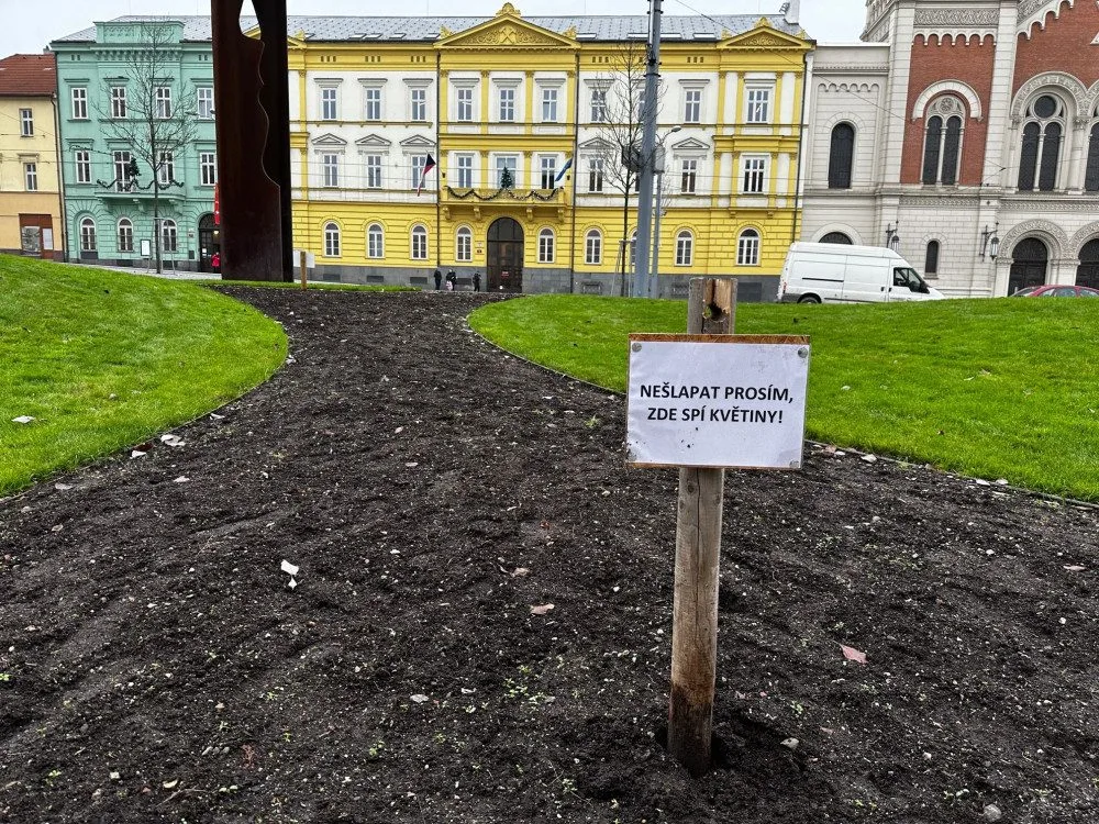 Chodci devastují záhony se zasazenými cibulovinami opatřené cedulemi zakazující vstup. Hlínou prošla i žena na vysokých podpatcích