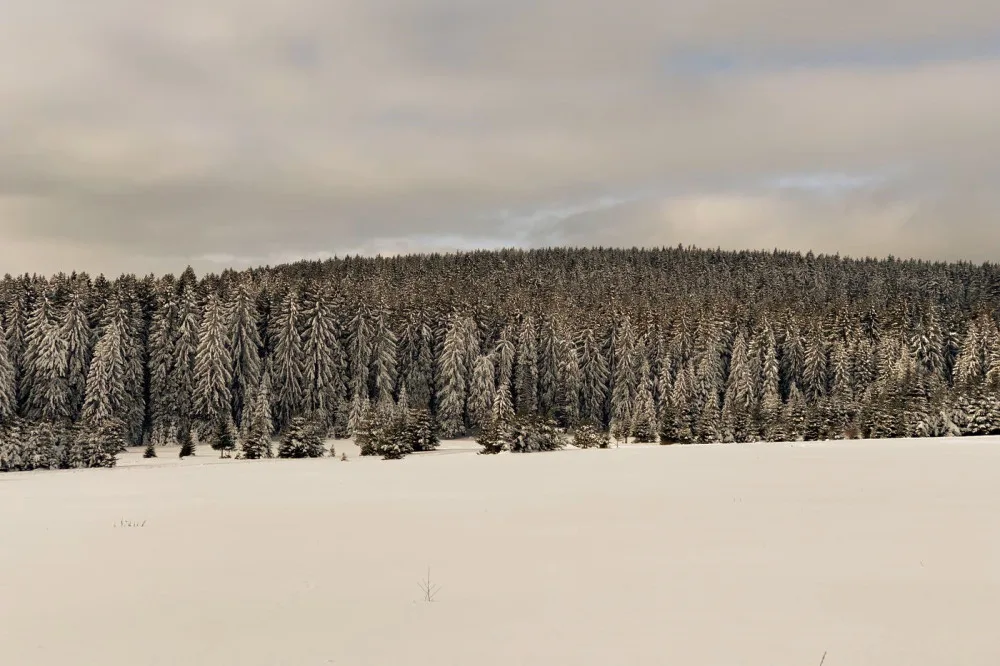 Vznikl nový geopark Královská Šumava, vymezují ho Kašperské Hory, Železná Ruda a Čachrov