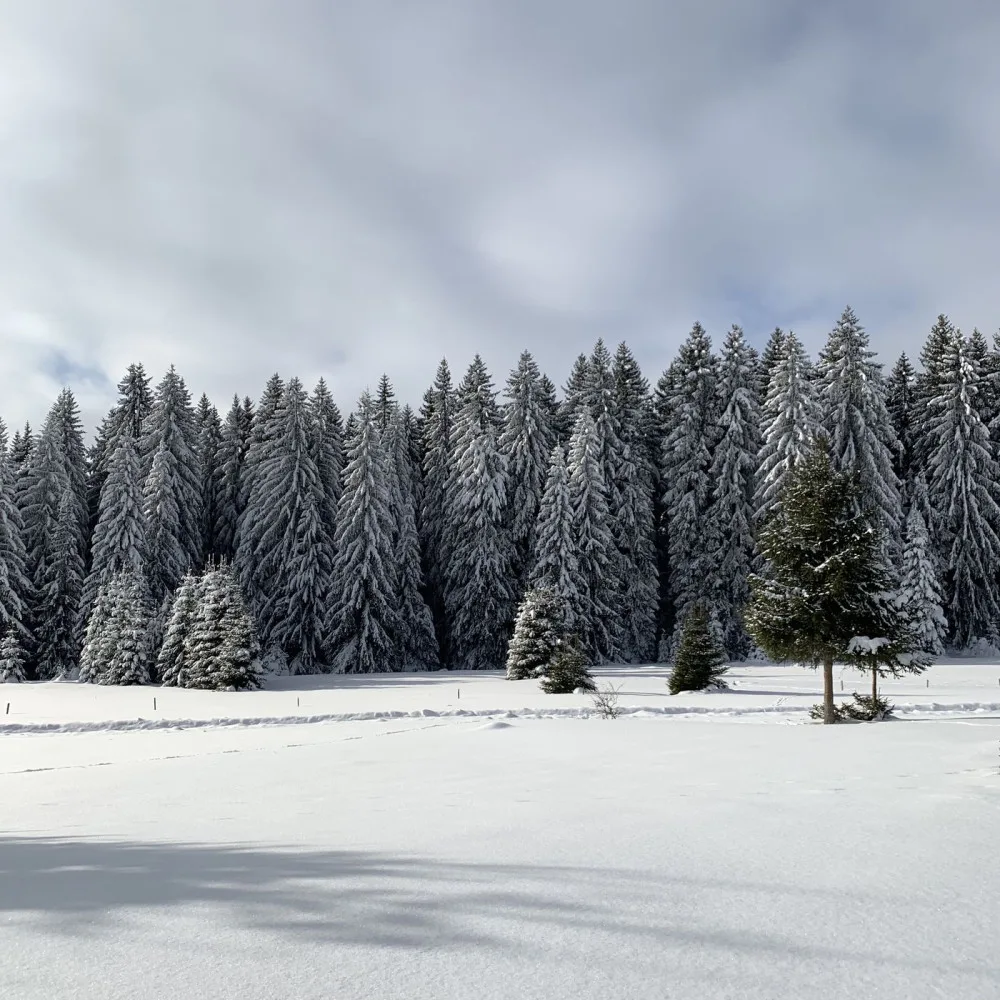 Vznikl nový geopark Královská Šumava, vymezují ho Kašperské Hory, Železná Ruda a Čachrov