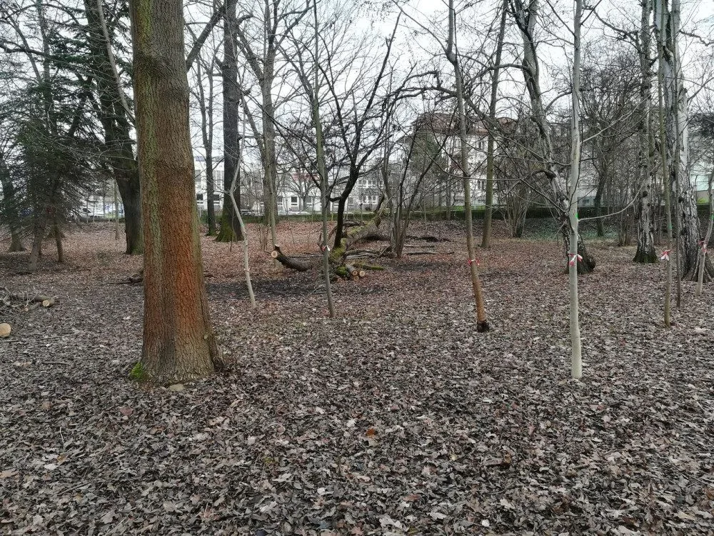 Nevyužívaná část parku se stala útočištěm pro bezdomovce a narkomany, město ho chce obnovit